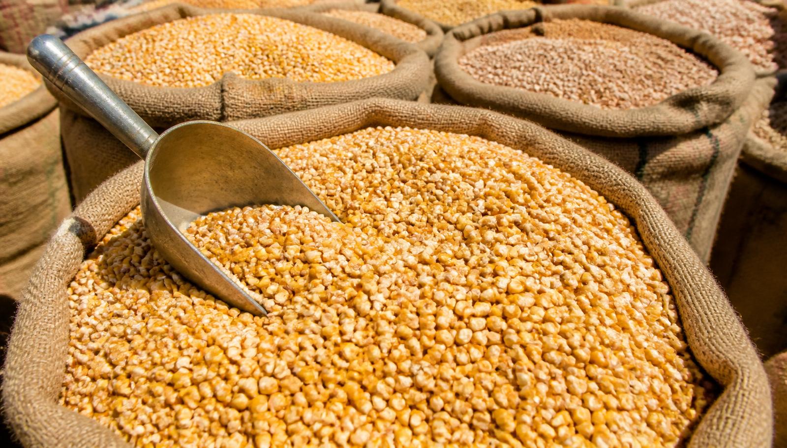 Reading the maize market before you sell