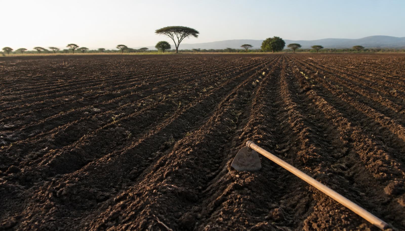 Preparing your soil ahead of the short rains