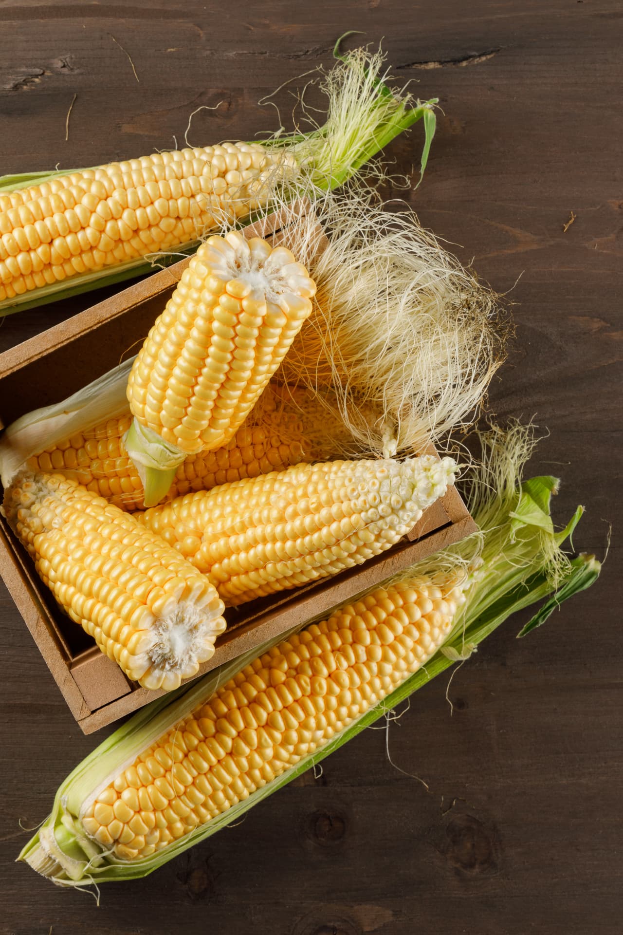 Maize
